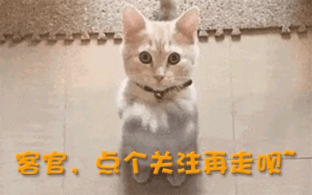 拍戏的42岁王凯终究走上了另一条路AG真人登录刘涛也没想到很长时间没(图8)
