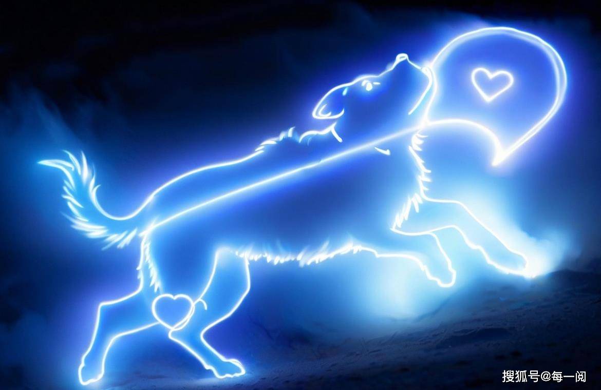 饰狮子座很复古天蝎座的超霸气！AG真人适