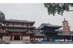 造终开放 首批区域免费迎客岭南古寺风貌A